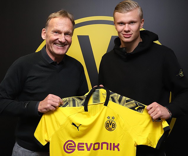 日本IR